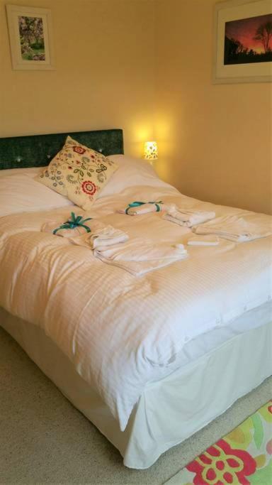 Bed and Breakfast Horsna Parc Retreat Saint Tudy Экстерьер фото