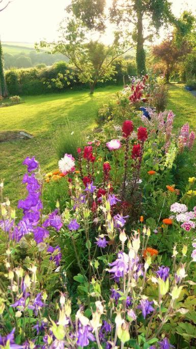 Bed and Breakfast Horsna Parc Retreat Saint Tudy Экстерьер фото