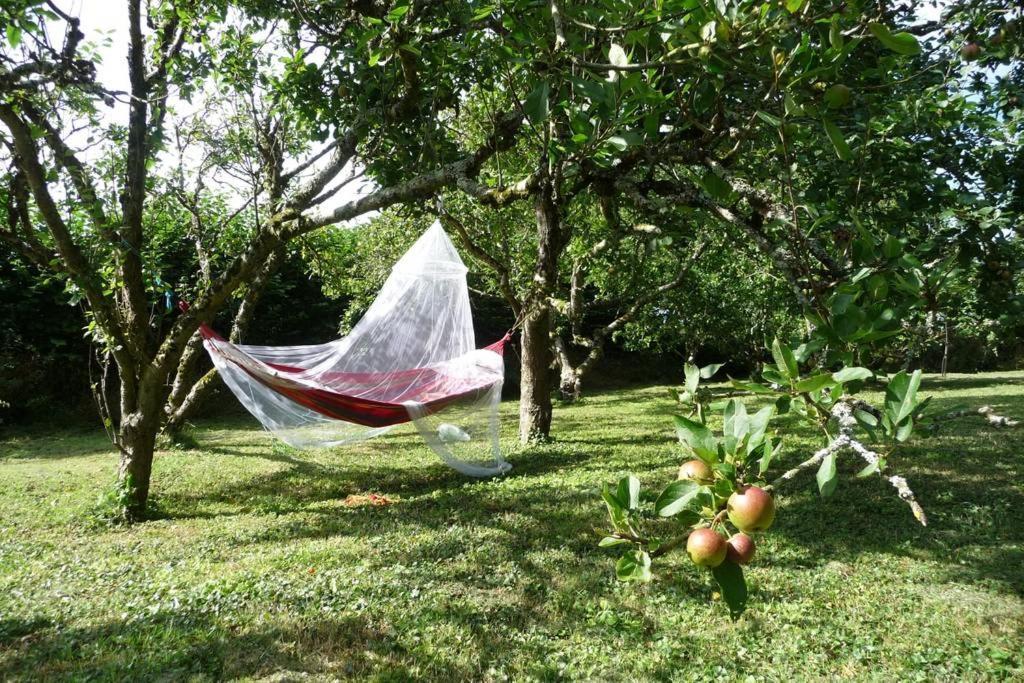 Bed and Breakfast Horsna Parc Retreat Saint Tudy Экстерьер фото
